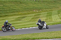 Expert Group Silver_Grey Bikes